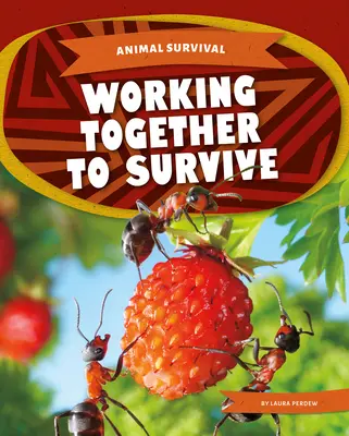 Trabajar juntos para sobrevivir - Working Together to Survive