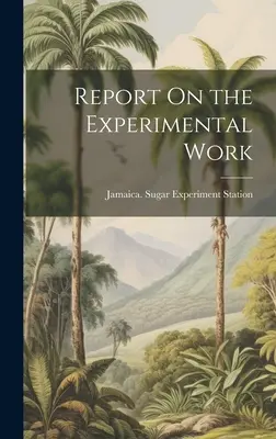 Informe sobre el trabajo experimental - Report On the Experimental Work
