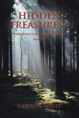 Tesoros ocultos I: Encontrar la belleza en las pruebas del desierto - Hidden Treasures I: Finding Beauty in the Trials of the Wilderness