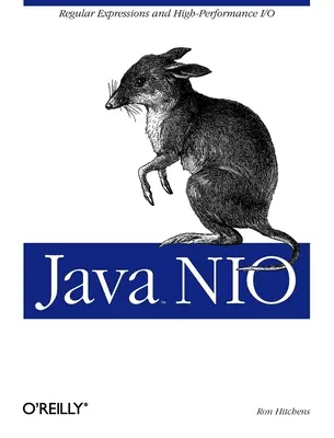 Java Nio: Expresiones regulares y E/S de alto rendimiento - Java Nio: Regular Expressions and High-Performance I/O