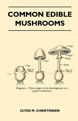 Setas Comestibles Comunes - Common Edible Mushrooms