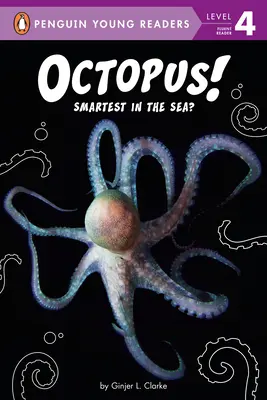 Pulpos ¿El más listo del mar? - Octopus!: Smartest in the Sea?