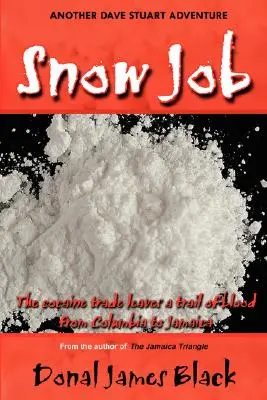 Trabajo en la nieve - Snow Job