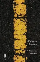 Asfalto agrietado - Cracked Asphalt