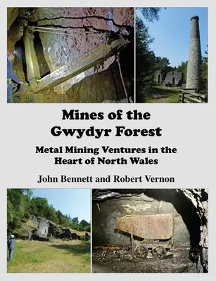 Minas del bosque de Gwydyr: Empresas mineras de metal en el corazón del norte de Gales - Mines of the Gwydyr Forest: Metal Mining Ventures in the Heart of North Wales