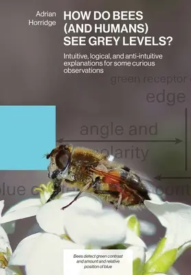 Cómo ven las abejas (y los humanos) los niveles de gris: explicaciones intuitivas, lógicas y antiintuitivas de algunas observaciones curiosas - How Do Bees (and Humans) See Grey Levels?: Intuitive, logical, and anti-intuitive explanations for some curious observations