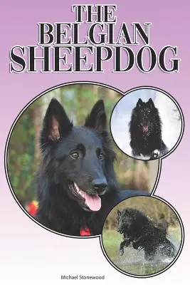 El Perro Pastor Belga: Una guía completa y exhaustiva para principiantes: Compra, Tenencia, Salud, Aseo, Adiestramiento, Obediencia, Comprensión - The Belgian Sheepdog: A Complete and Comprehensive Beginners Guide To: Buying, Owning, Health, Grooming, Training, Obedience, Understanding