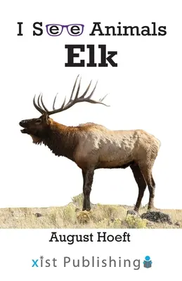 Alce - Elk