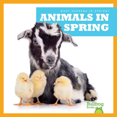 Animales en primavera - Animals in Spring