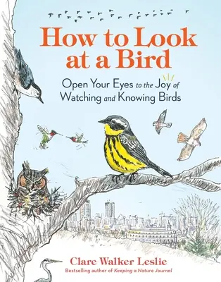 Cómo mirar a un pájaro: Abre los ojos al placer de observar y conocer las aves - How to Look at a Bird: Open Your Eyes to the Joy of Watching and Knowing Birds