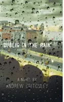 Dublín bajo la lluvia - Dublin in the Rain