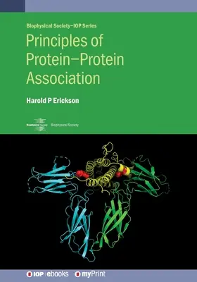 Principios de la asociación proteína-proteína - Principles of Protein-Protein Association