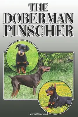 El Doberman Pinscher: A Complete and Comprehensive Owners Guide To: Compra, Propiedad, Salud, Grooming, Formación, Obediencia, Comprensión y - The Doberman Pinscher: A Complete and Comprehensive Owners Guide To: Buying, Owning, Health, Grooming, Training, Obedience, Understanding and
