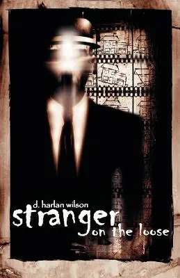 Un extraño suelto - Stranger on the Loose