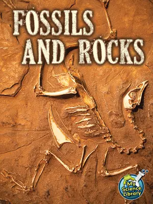 Fósiles y rocas - Fossils and Rocks