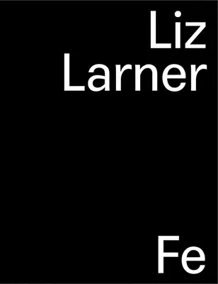 Liz Larner Don't Put It Back Like It Was - Liz Larner: Don't Put It Back Like It Was