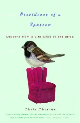 Providencia de un gorrión: Lecciones de una vida dedicada a los pájaros - Providence of a Sparrow: Lessons from a Life Gone to the Birds