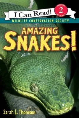 Sorprendentes serpientes - Amazing Snakes!