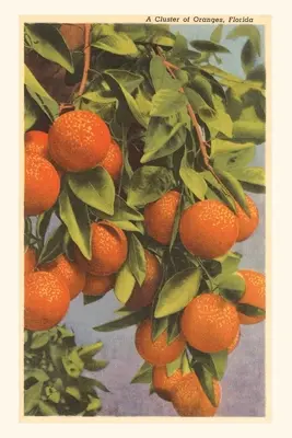 Diario Vintage Oranges, Florida - Vintage Journal Oranges, Florida
