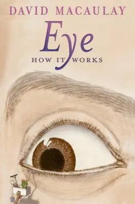 Ojo: Cómo funciona - Eye: How It Works