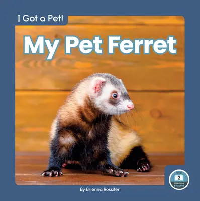 Mi hurón - My Pet Ferret