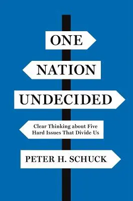 Una nación indecisa: Pensamiento claro sobre cinco cuestiones difíciles que nos dividen - One Nation Undecided: Clear Thinking about Five Hard Issues That Divide Us