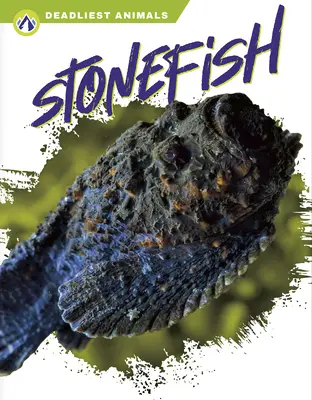 Pez piedra - Stonefish