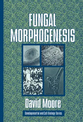 Morfogénesis fúngica - Fungal Morphogenesis