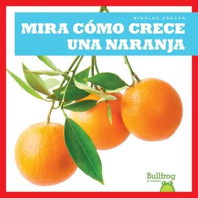 Mira Como Crece Una Naranja - Mira Como Crece Una Naranja (Watch an Orange Grow)