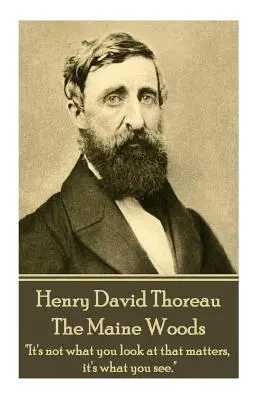 Henry David Thoreau - Los bosques de Maine: La mayoría de los hombres llevan una vida de tranquila desesperación». - Henry David Thoreau - The Maine Woods: The mass of men lead lives of quiet desperation.