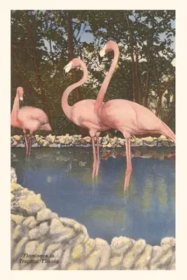 Diario Vintage Flamencos, Florida - Vintage Journal Flamingos, Florida