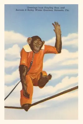 Diario Vintage Chimpancé, Sarasota, Florida - Vintage Journal Chimpanzee, Sarasota, Florida