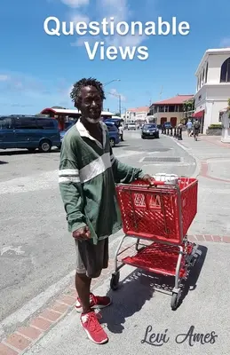 Puntos de vista cuestionables - Questionable Views