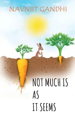 No todo es lo que parece - Not Much Is As It Seems