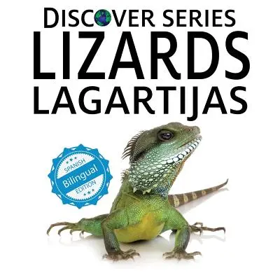 Lagartijas - Lizards / Lagartijas