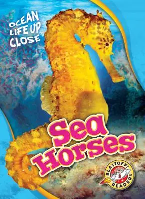 Caballos de mar - Sea Horses