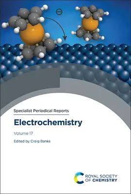 Electroquímica: Volumen 17 - Electrochemistry: Volume 17