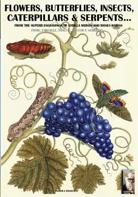 flores, mariposas, insectos, orugas y serpientes...: De los grabados de los siglos XVII-XVIII de Sybilla Merian y Moses Hariss - flowers, butterflies, insects, caterpillars & serpents...: From Sybilla Merian & Moses Hariss XVII-XVIII Centuries engravings