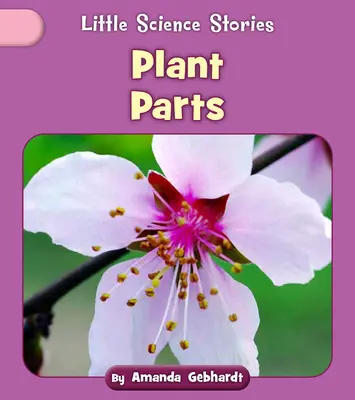 Partes de la planta - Plant Parts