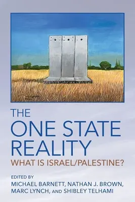 La realidad de un Estado único: ¿Qué es Israel/Palestina? - The One State Reality: What Is Israel/Palestine?