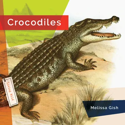 Cocodrilos - Crocodiles