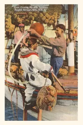 Diario Vintage Buceador con esponjas, Tarpon Springs, Florida - Vintage Journal Diver with Sponges, Tarpon Springs, Florida