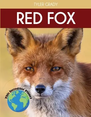 El zorro rojo: Fascinantes datos sobre animales para niños - Red Fox: Fascinating Animal Facts for Kids