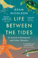 La vida entre las mareas - En busca de pozas y otras aventuras a lo largo de la costa - Life Between the Tides - In Search of Rockpools and Other Adventures Along the Shore