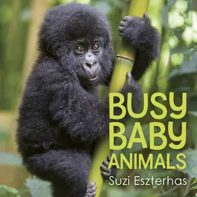 Bebés ocupados - Busy Baby Animals