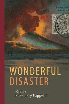 Maravilloso desastre - Wonderful Disaster