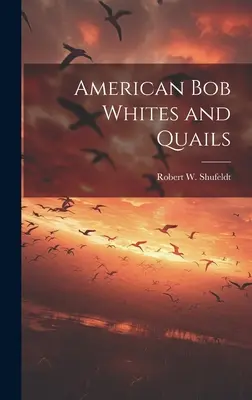 Los blancos y las codornices americanas - American bob Whites and Quails