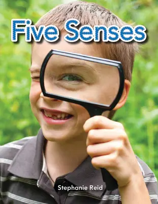Cinco sentidos - Five Senses
