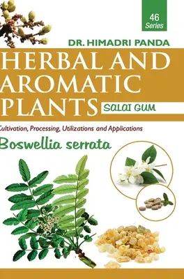 PLANTAS HERBÁCEAS Y AROMÁTICAS - 46. Boswellia serrata (Goma Salai) - HERBAL AND AROMATIC PLANTS - 46. Boswellia serrata (Salai Gum)