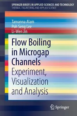 Ebullición del flujo en canales de microescapes: Experimento, visualización y análisis - Flow Boiling in Microgap Channels: Experiment, Visualization and Analysis